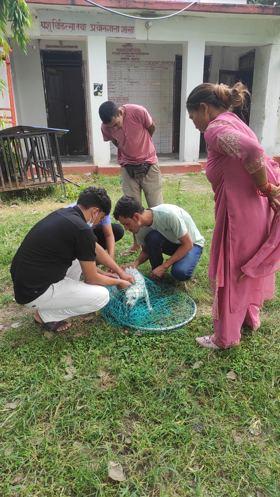 पशु स्वास्थ्य